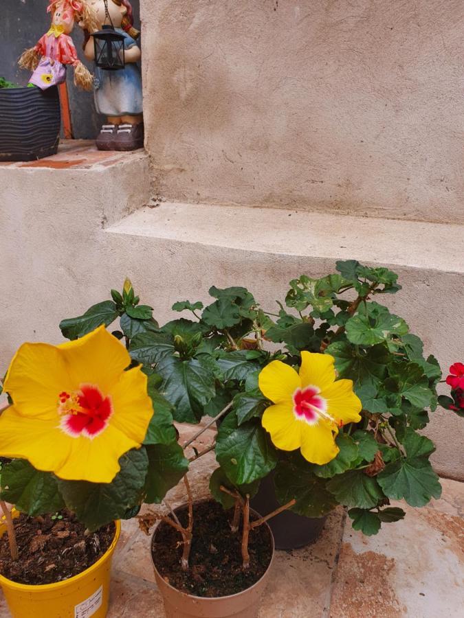 Ca La Miquela Apartment Albages Bagian luar foto